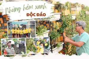 Ấm áp hẻm Sài Gòn – Kỳ 4: Những con hẻm xanh độc đáo