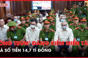 Lý do 'ông trùm' đăng kiểm miền tây thoát tội đưa hối lộ cho hai cựu Cục trưởng