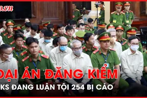 Viện kiểm sát đang luận tội 254 bị cáo trong đại án đăng kiểm