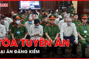 Đại án đăng kiểm: Bị cáo Trần Kỳ Hình lãnh 25 năm tù, Đặng Việt Hà 19 năm tù