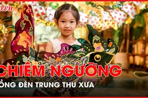 Người dân TP.HCM chiêm ngưỡng lồng đèn trung thu xưa 