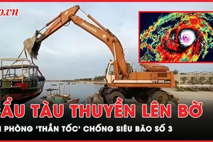 Hải Phòng cẩu hơn 100 tàu thuyền lên bờ, 'thần tốc' ứng phó siêu bão đang tiệm cận