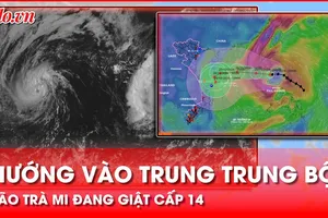 Bão Trà Mi ở trên vùng biển phía Đông Bắc quần đảo Hoàng Sa, đang hướng vào Trung Trung Bộ
