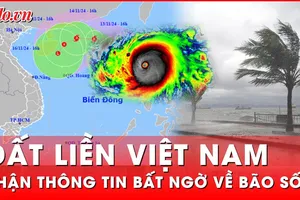 Thông tin bất ngờ về ảnh hưởng của bão số 8 Toraji đến đất liền Việt Nam 