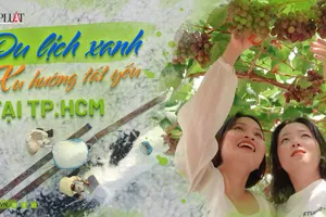 TP.HCM và nỗ lực xanh hóa du lịch – Kỳ 2: Du lịch nông nghiệp, du lịch cộng đồng nâng tầm du lịch TP.HCM