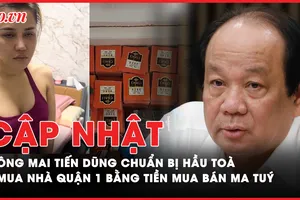 Điểm nóng tố tụng: Ông Mai Tiến Dũng chuẩn bị hầu toà về tội danh gì?