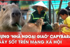 Video: Chơi cùng capybara ngoài đời thật tại Thảo Cầm Viên 