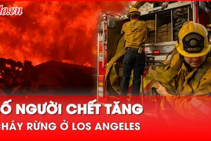 Cháy rừng ở Mỹ: Thêm một 'đêm kinh hoàng và đau khổ' ở Los Angeles