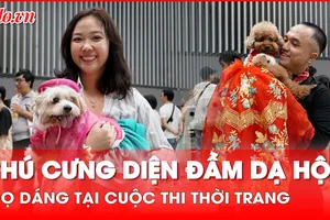 Video: Cuối tuần, thú cưng diện đầm dạ hội, áo dài thi thời trang