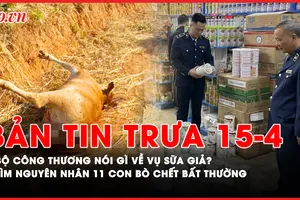 Bản tin trưa 15-04: Bộ Công Thương nói gì về đường dây sản xuất sữa giả doanh thu 500 tỷ?; Tìm nguyên nhân 11 con bò chết bất thường tại Gia Lai