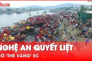 Nghệ An cùng cả nước tháo gỡ 'thẻ vàng' EC