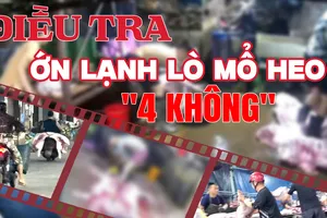 Trailer: Đột kích lò mổ heo lậu '4 không'