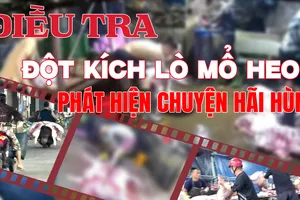 Video điều tra: Ớn lạnh lò mổ heo lậu '4 không' giữa đêm, giấy phép nào cũng không có