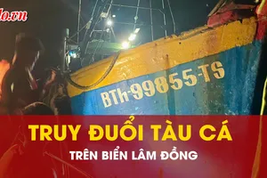 Truy đuổi xuyên đêm tàu cá tận diệt thủy sản trên biển Lâm Đồng