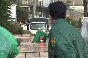 Lâm Đồng: Quốc lộ 55 ngập sâu sau mưa lớn, giao thông ách tắc kéo dài