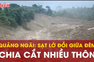 Sạt lở trong đêm ở Quảng Ngãi: Đất đá vùi lấp 3,5 ha hoa màu, nứt gãy đường giao thông