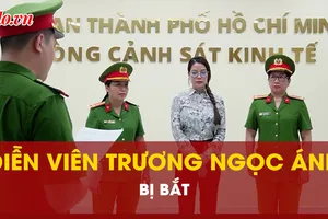 Video: Diễn viên Trương Ngọc Ánh bị bắt