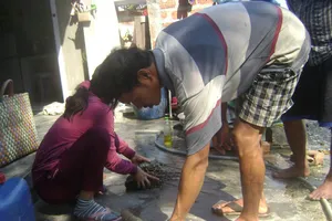 Tôm hùm chết hàng loạt, thiệt hại hơn 9 tỉ đồng