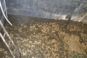 5 người tử nạn trong hầm nước mắm