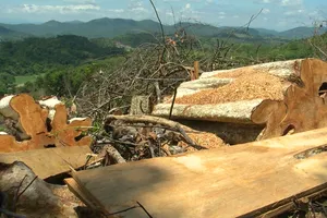 Phó chủ tịch huyện cấp đất sai bị... khiển trách