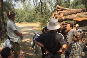 Phó Thủ tướng yêu cầu báo cáo vụ HTX phá rừng 