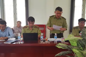 Công bố thanh tra vụ phá rừng nuôi bò ở Phú Yên