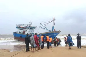 Tìm thấy 4 thi thể nghi thuyền viên mất tích