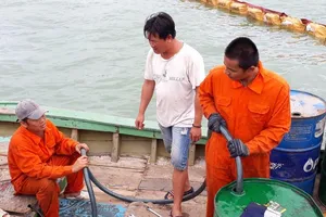 Bắt đầu hút dầu để trục vớt tám tàu chìm ở Quy Nhơn