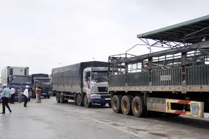 Trạm BOT Ninh An ùn tắc vì lái xe dùng tiền lẻ