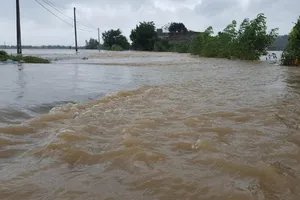 Gần 27.000 căn nhà ở Bình Định đang bị ngập 