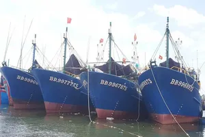 Nam Triệu sẽ 'xem xét đền bù hợp lý cho ngư dân'