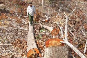 Tác động cấp đất sai, trưởng công an huyện bị cảnh cáo