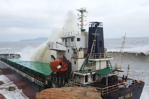 Thanh thải 2 tàu nước ngoài chìm trên biển Quy Nhơn