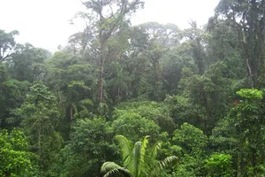 Hy hữu: Tòa đang nghị án, bị cáo bất ngờ... bỏ trốn