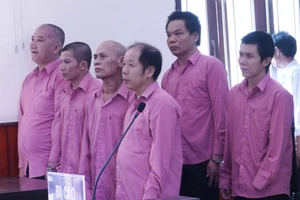 Bình Định: Xử vụ phá rừng lớn nhất từ trước đến nay 