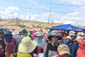 Bình Định: Chủ tịch huyện Phù Mỹ nói về dự án điện mặt trời