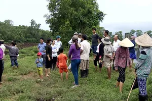 Nhà máy đường Tuy Hòa xả nước thải chưa xử lý ra môi trường