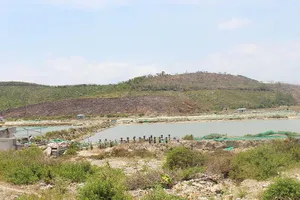 Cách hết chức vụ bí thư xã tiếp tay gom đất đặc khu