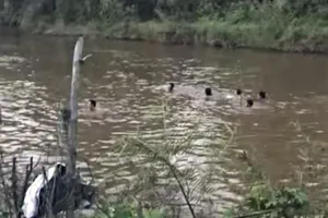 4 học sinh chết đuối thương tâm 