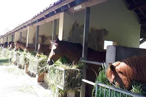 Đề nghị điều chỉnh cao tốc Bắc- Nam để tránh trại vaccine 