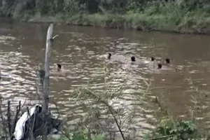 7 học sinh đuối nước ở Khánh Hòa trong 1 tuần 