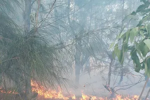 Đang cháy rừng cạnh khu dân cư ở Phú Yên
