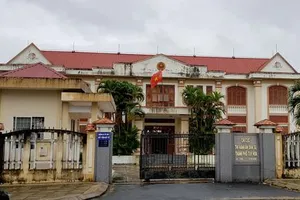 Miễn nhiệm chi cục trưởng chơi game, đá gà trong giờ làm việc