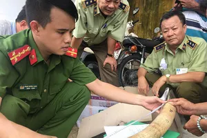 Hơn 17 kg nghi ngà voi vận chuyển trái phép