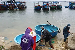 Cưỡng chế hơn 1.200 người ở vùng dự kiến tâm bão vào bờ 