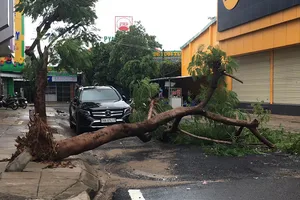 Sóng biển ập lên đường phố, đánh sập kè ở Phú Yên