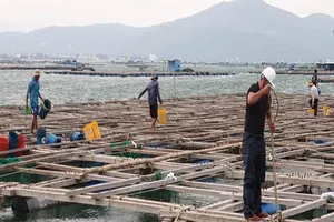 Dùng tàu chuyên dụng cưỡng chế người trên bè tránh bão số 6 