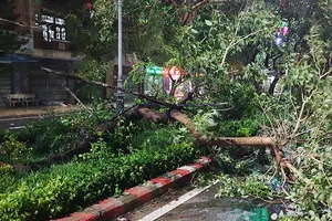 Bão số 6 suy yếu nhưng làm 77.000 hộ ở Phú Yên bị mất điện 