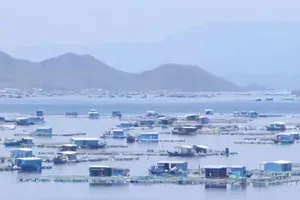 Mưa to, gió giật mạnh ở Vạn Ninh