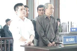 Nhiều quan chức không bị tội trong vụ phá 110 ha rừng